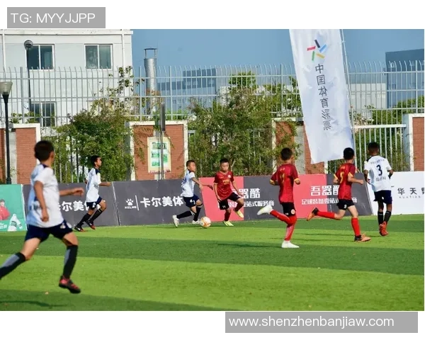 溧水足球明星盘点及其在国内外赛场上的精彩表现与成就分析